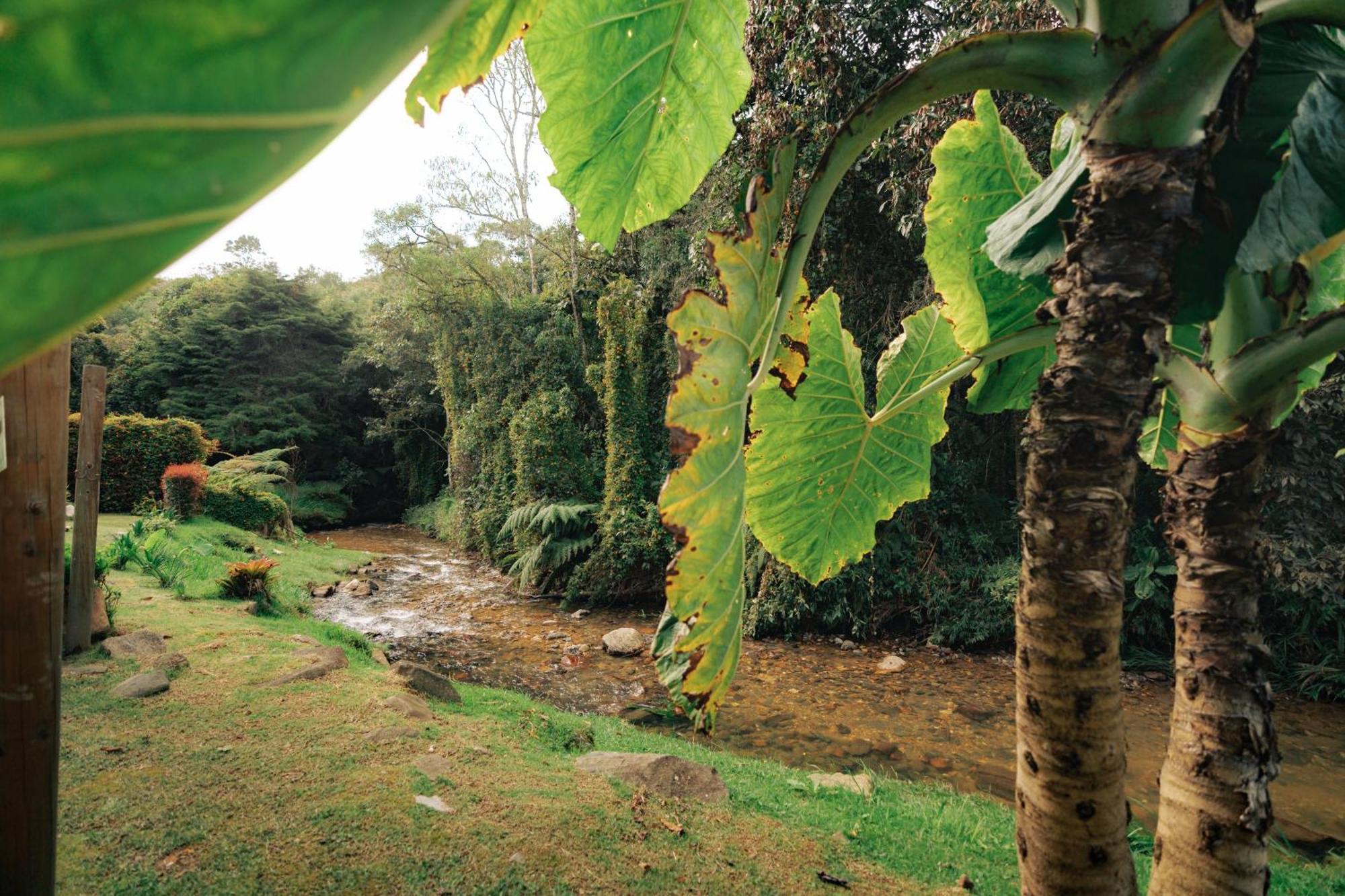 Bubblesky Glamping 15 Min From Medellin Hotel Rionegro Exterior foto