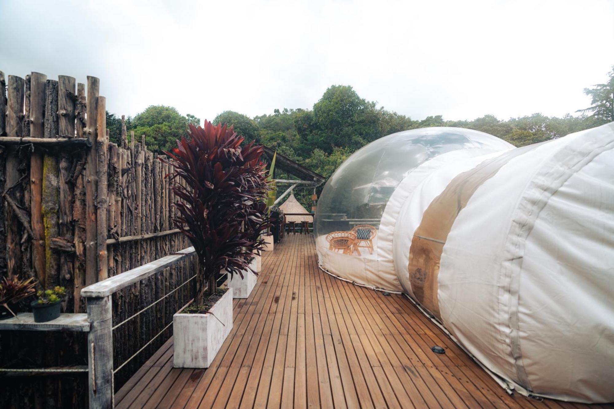 Bubblesky Glamping 15 Min From Medellin Hotel Rionegro Exterior foto